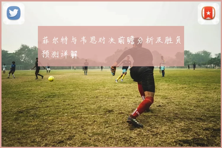 菲尔特与韦恩对决前瞻分析及胜负预测详解