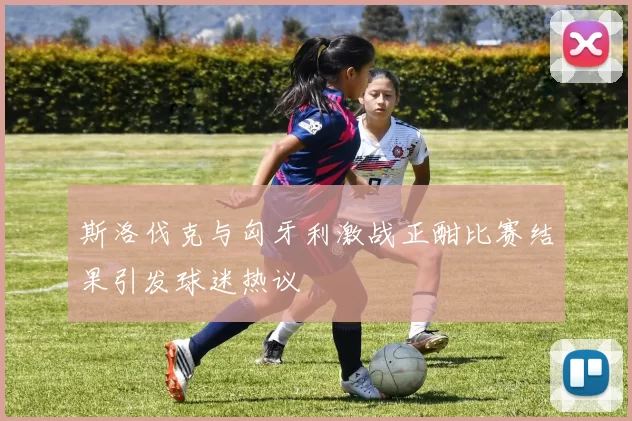 斯洛伐克与匈牙利激战正酣比赛结果引发球迷热议